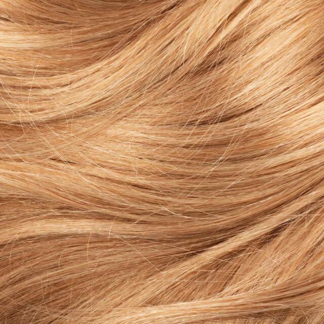 https://dominicanhairsalon.ca/wp-content/uploads/2021/09/background_image_01-640x640.jpg