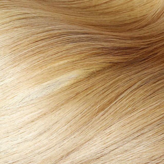https://dominicanhairsalon.ca/wp-content/uploads/2021/09/background_image_03-640x640.jpg